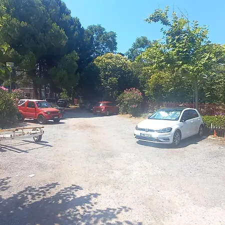 Stema דירה *